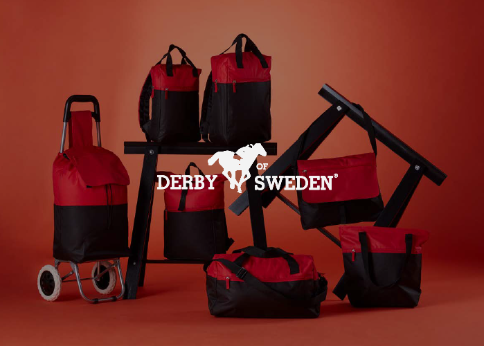 Derby of Sweden
