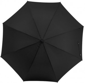 Parasol Cirrus