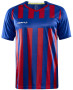 PROGRESS 2.0 STRIPE JERSEY