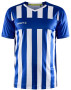 PROGRESS 2.0 STRIPE JERSEY