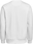 CREWNECK REGULAR FIT (OCS-RCS)