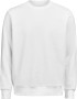 CREWNECK REGULAR FIT (OCS-RCS)