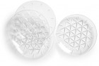 PICKNICK PLATE 4-PAC, TRANSPARENT
