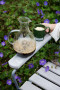 Kubek do kawy COFFEE & MORE 2-szt, zielony
