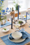 EDEN DENIM KITCHEN TOWEL, 2-PCS, BLUE