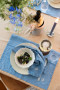 EDEN DENIM KITCHEN TOWEL, 2-PCS, BLUE