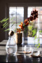 BLANKA WATER GLASS, 2-PCS, CLEAR