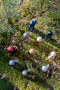 TURE WATER BOTTLE, PINK